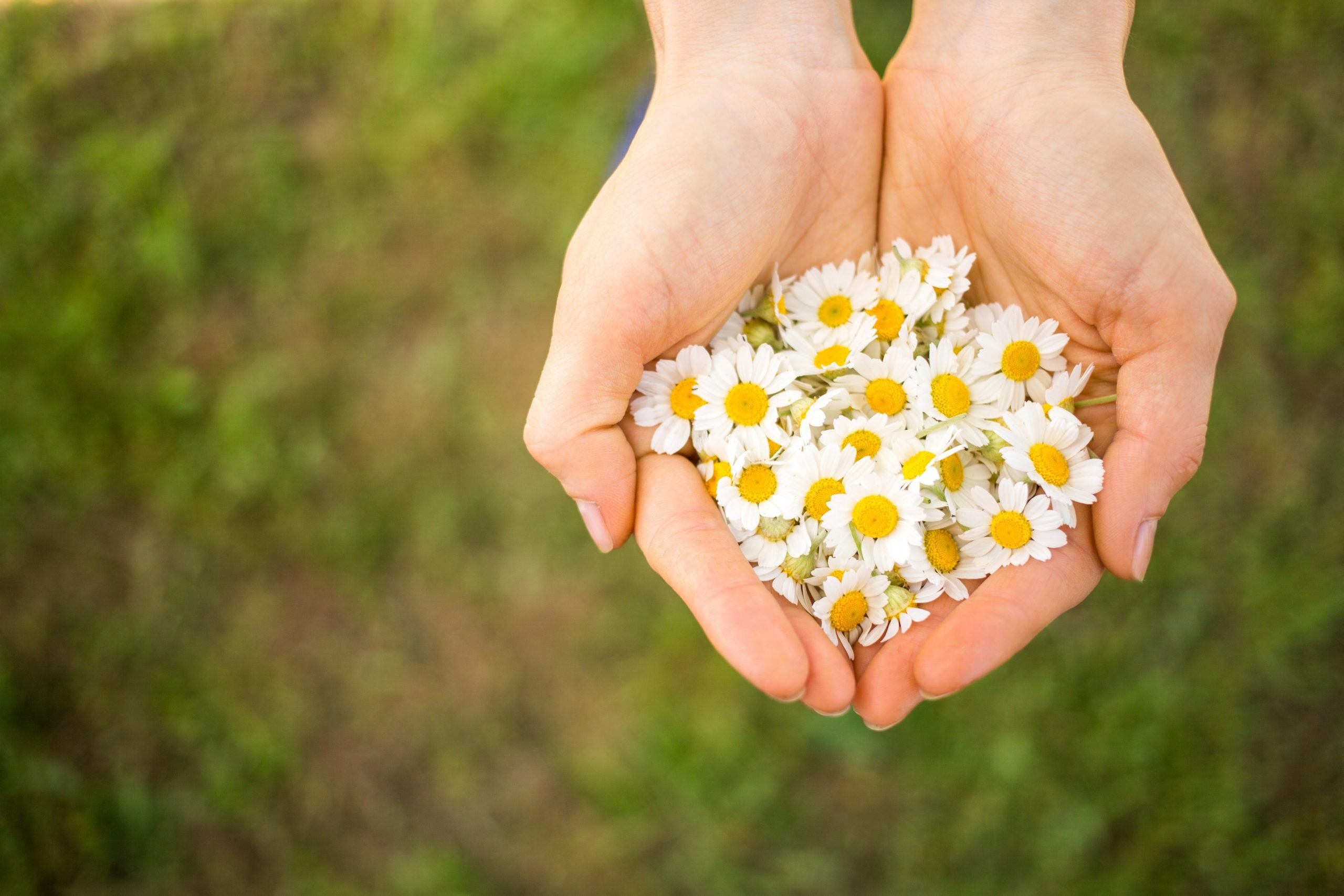 Menopause supports charities